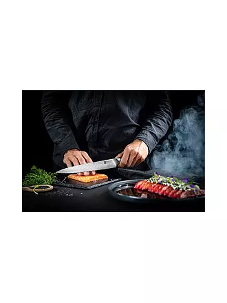 ZWILLING | Fleischmesser 23cm TANREI Micarta | 